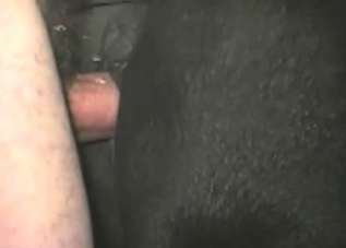 Hung dude gets to fuck a tight dog hole